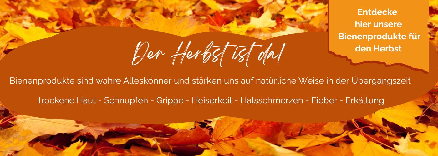 Banner Herbst 2025