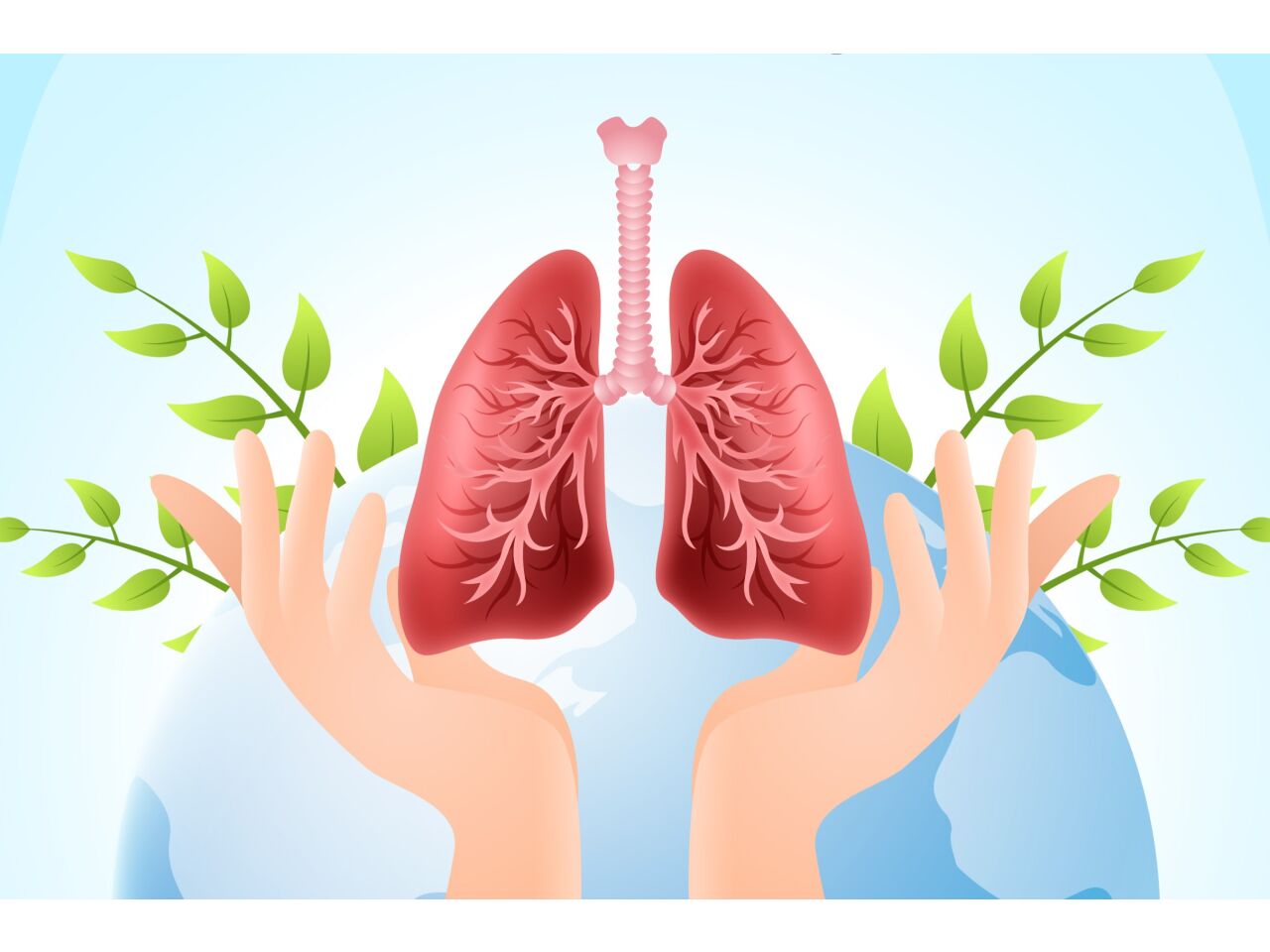 Asthma verstehen &amp; natürlich lindern – wie Propolis die Atmung unterstützen kann - Asthma verstehen &amp; natürlich lindern – wie Propolis die Atmung unterstützen kann