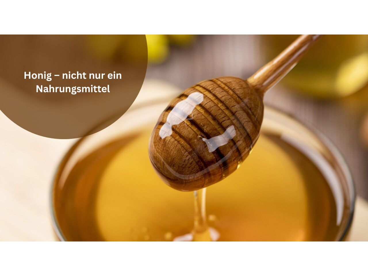 Honig – nicht nur ein Nahrungsmittel - Honig – nicht nur ein Nahrungsmittel