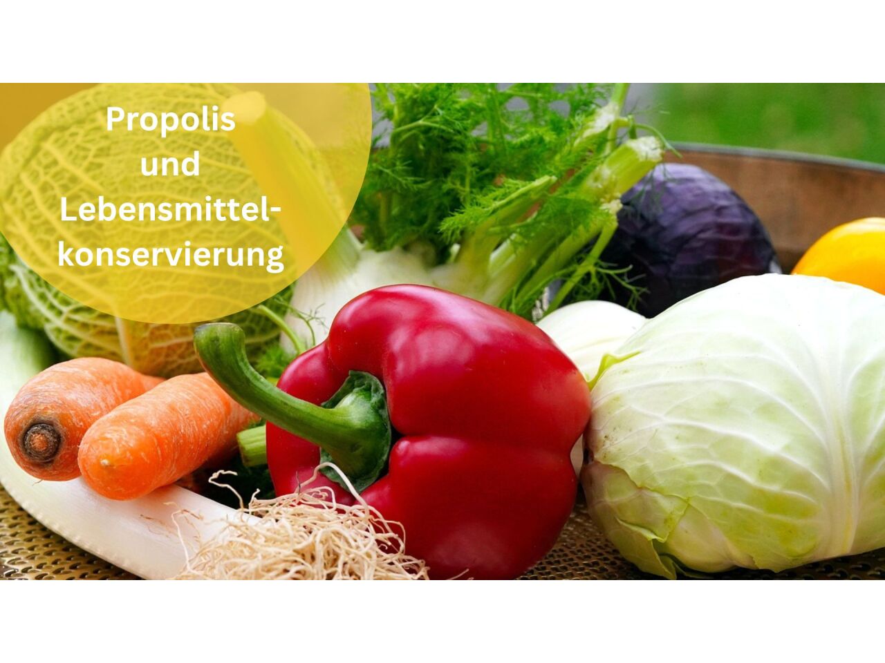 Propolis - die Kraft der Natur für mehr Haltbarkeit - Propolis - die Kraft der Natur für mehr Haltbarkeit
