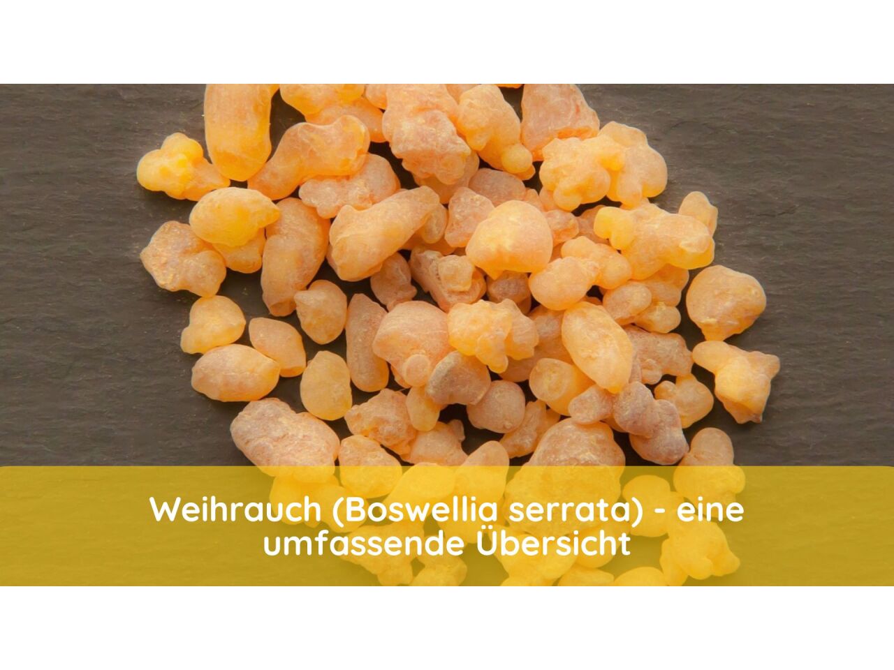 Weihrauch (Boswellia serrata) - eine umfassende Übersicht - Weihrauch (Boswellia serrata) - eine umfassende Übersicht