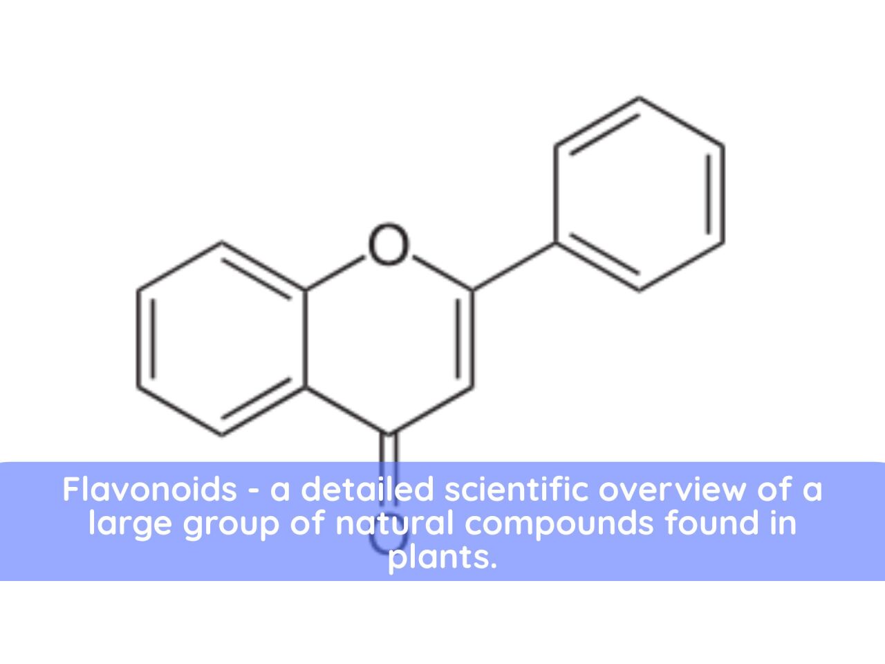 Flavonoids - a detailed scientific overview of a large group of natural compounds found in plants. - Flavonoids - a detailed scientific overview